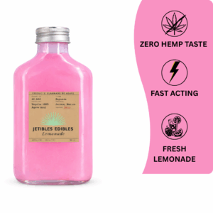 Casamigo Strawberry Lemonade 8.5oz